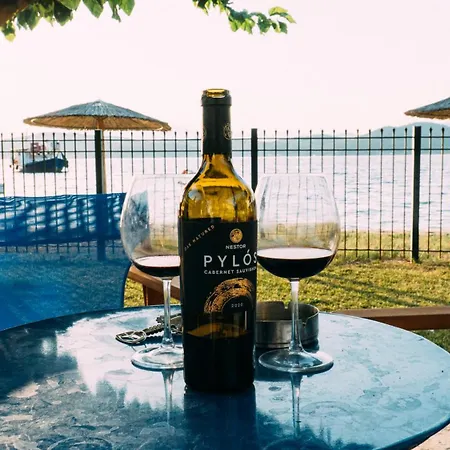 Bluevera Seafront Villa-aidipsos Bay